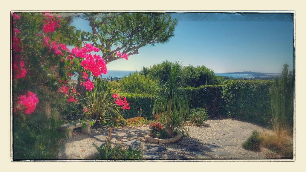 Le Saphir Villeneuve-Loubet